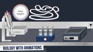 Southern Blot Method - Animation video