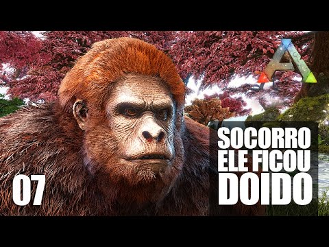 SOCORRO!!! O GORILA FICOU DOIDO - Construindo a BASE e MURANDO - #07