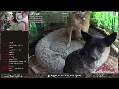 Positivamente co ai nhan duoc den dau the gioi quanh ta 002