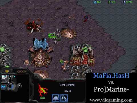 MaFia.HasH vs. Pro]Marine- Game 3