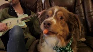 Deal Casino - 2018 NPR Tiny Desk Contest (French Blonde)