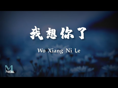 Xiao Lan Bei Xin (小蓝背心) - Wo Xiang Ni Le (我想你了) Lyrics 歌词 Pinyin/English Translation (動態歌詞)