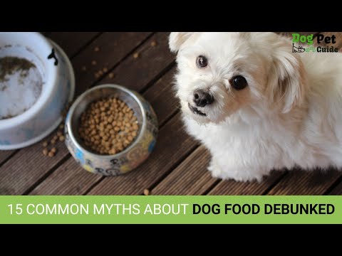 15 Common Myths About Dog Food DEBUNKED - Separating Fact From Fiction