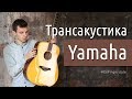 Трансакустическая гитара Yamaha FG-TA