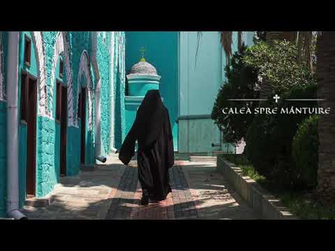 ÎNVĂȚĂTURA ZILEI - 15.02 - RĂMÂNEȚI ÎN DRAGOSTE ȘI-N ADEVĂR, IAR ADEVĂRUL VĂ VA FACE LIBERI!