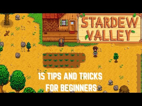 15 early game tips for stardew valley