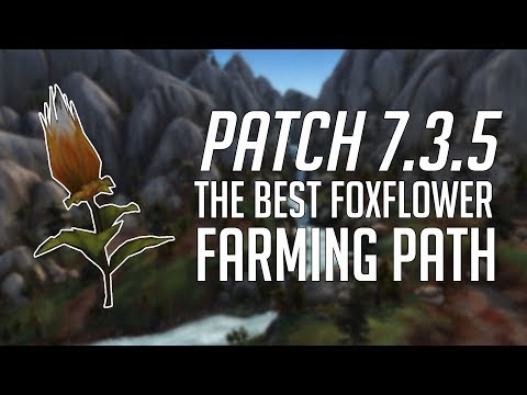 The Best Foxflower Farming Path Patch 7.3.5
