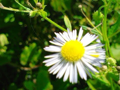 A Piece of Heaven In Romania