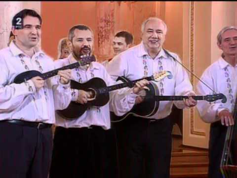 Tamburica 5, Hajde da pevamo celu noć