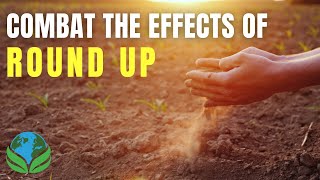 How to combat the negative effects of Roundup | Bring soil back to life