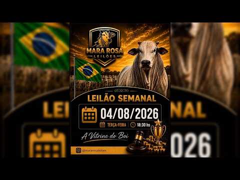 MARA ROSA LEILÕES - GOIÁS - LEILÃO DE GADO DE CORTE 04/08/2026