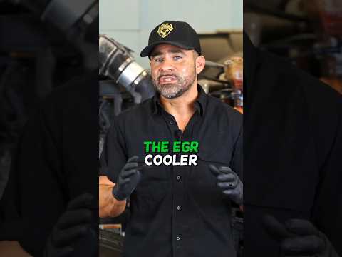 The EGR cooler can be a source on coolant leak.