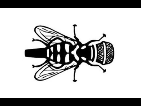 LA MICROFAUNE - 05 - Balade musicale (2011) - prod. Vax1