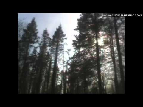 Zabrinski - Black Forest Science Friction