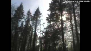 Zabrinski - Black Forest Science Friction