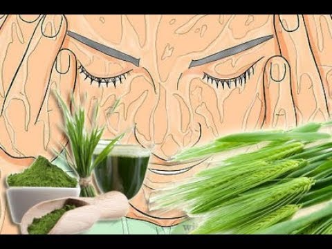 Prostata-Behandlung anehogennoe Bildung Wenn ein Mitglied von Schmerzen in der Prostata