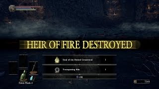 How To Beat: Cursed Rotten Greatwood. Super Easy Strat! Dark Souls III