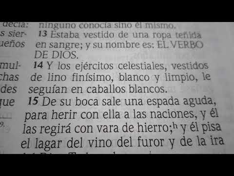 EL JINETE DEL CABALLO BLANCO  - APOCALIPSIS 19:11-21 📖✍🏻