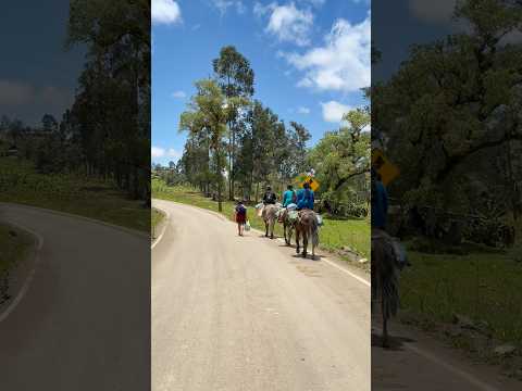 Mamabamba Cutervo Cajamarca Perú 🇵🇪