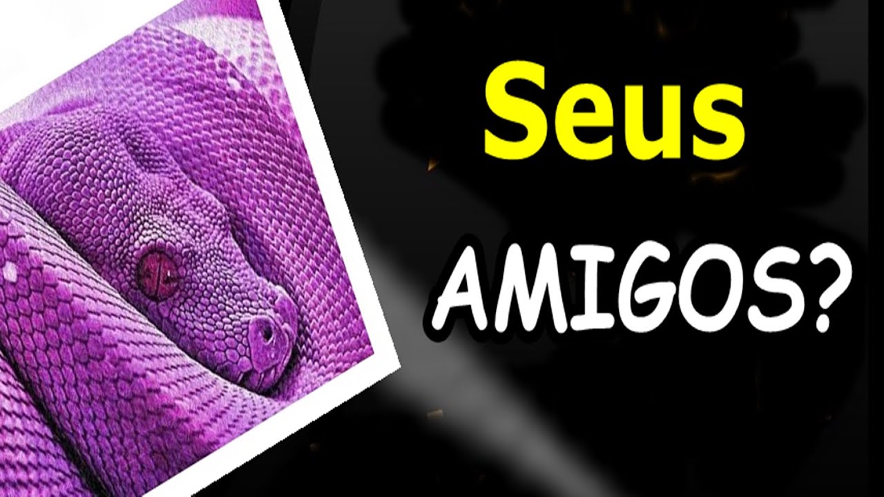 Sonhar Com Cobra Roxa brilhante: pequena, grade, na cor preta, ver cobras roxas significa poder