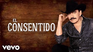 El Consentido Lyrics English Translation
