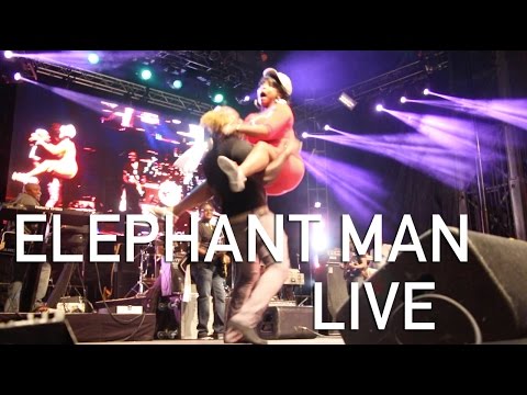 TMTV | Elephant Man LIVE Montreal International Reggae Festival 2016