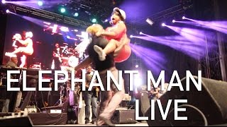 TMTV | Elephant Man LIVE Montreal International Reggae Festival 2016