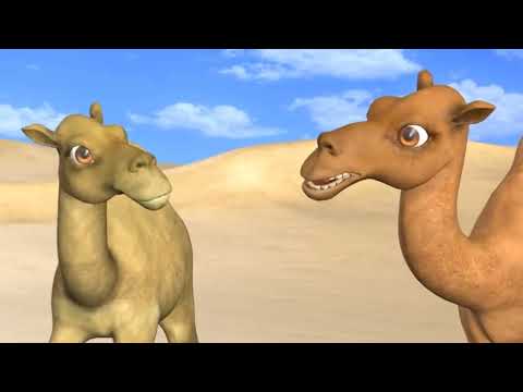 Jamel the Camel - Jamil and Jamila Songs for Kids