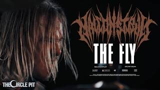The Fly - Malconstruct