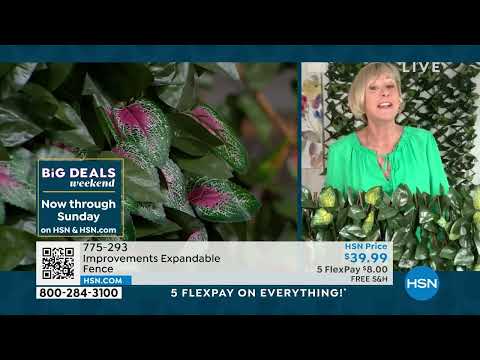 HSN | Saturday Morning with Callie & Alyce 08.27.2022 - 10 AM