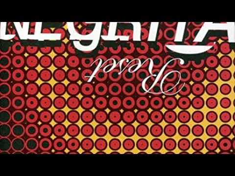 In Ogni Atomo - Negrita GUITAR BACKING TRACK WITH VOCALS! (Base per chitarra)