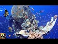 Underwater Sounds With Oceanscapes Underwater Animals 8 Hours Under The Sea Sound Part 2
