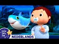 Doe De Baby Haai Dans Little Baby Bum Nederland Kinderliedjes En Tekenfilms