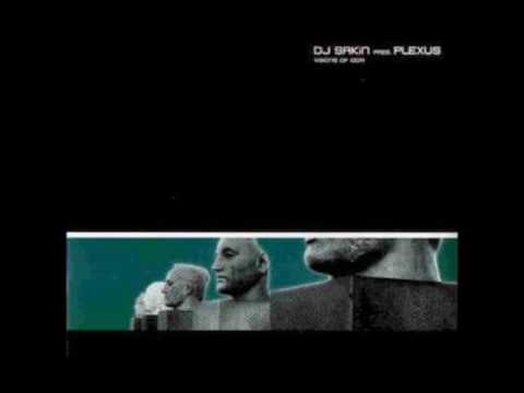 DJ Sakin pres. Plexus - Visions Of Igor (Remarque's Mix)