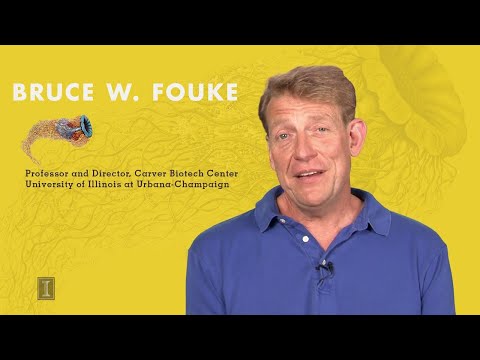 Emergence of Life - Course Trailer