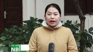 CHĂM SÓC LÚA XUÂN SAU CẤY