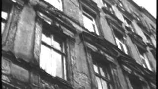 Static Me - the golden guts