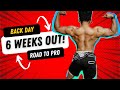 Road to WNBF Pro series 6 weeks out l My biggest motivation