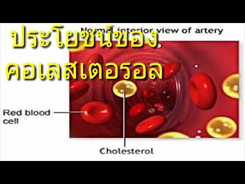 ดื่ม Castoreum ความอ่อนแอ วิดีโอสาวเชื้อโรคม้า