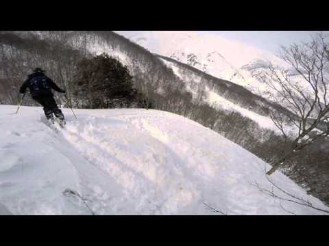 2015 03 07 Tree run at Hakuba 47