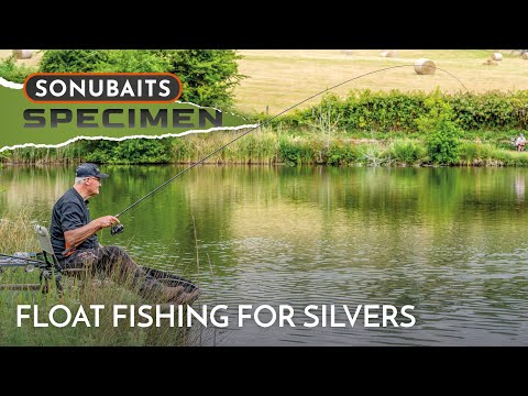 Summer Waggler Tactics For Quality Silverfish | Chris Ponsford