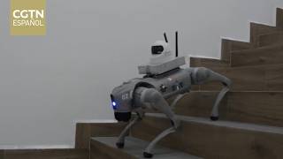 La policía mexicana despliega perros robot durante el torneo
