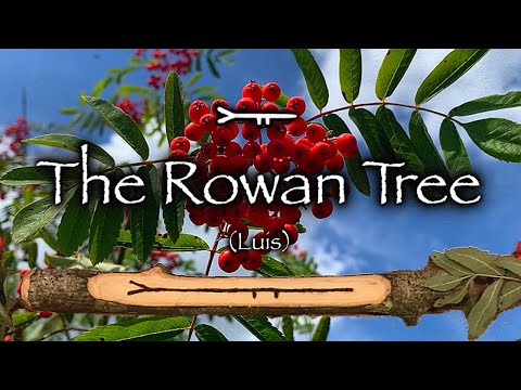 Rowan: Mythology, Magic, and Folklore of the Witch Tree (Luis)