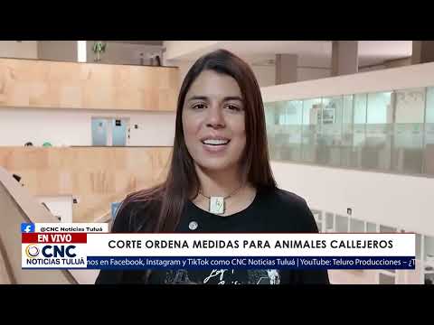 🐾 🐶 La decisión de la Corte que cambiará la vida de perros y gatos en Roldanillo.