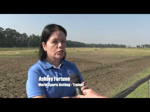 Ashley Fortune chats to Andrew Bon about the debut of WSB filly Neerah