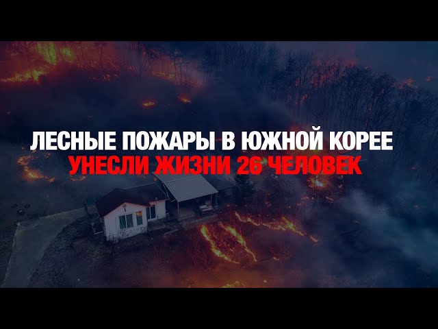 Лесные пожары в Южной Корее унесли жизни 26 человек