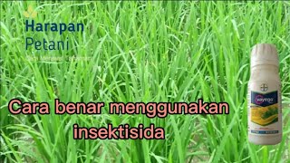 The correct way to use Payego insecticide