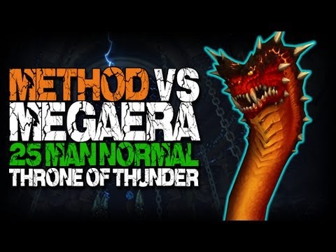 Method vs Megaera (25 Normal)