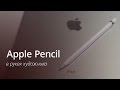 Стилус Apple Pencil 1st Generation MK0C2ZM белый - Видео
