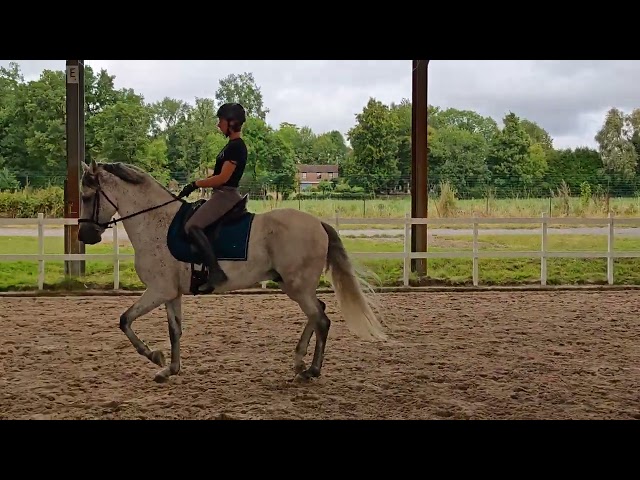 PRE PP entier 11 ans &ndash; Tr&egrave;s bon mental, polyvalent, 9 9